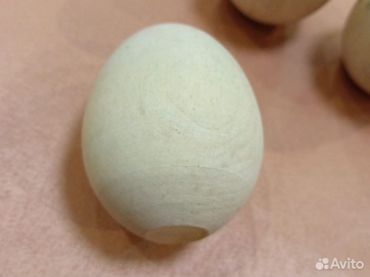 Яйцо