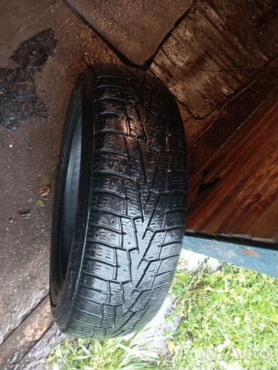 Nexen Winguard 185/65 R15