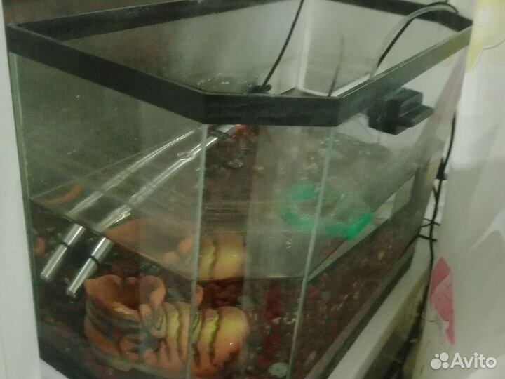 Аквариум 45 литров