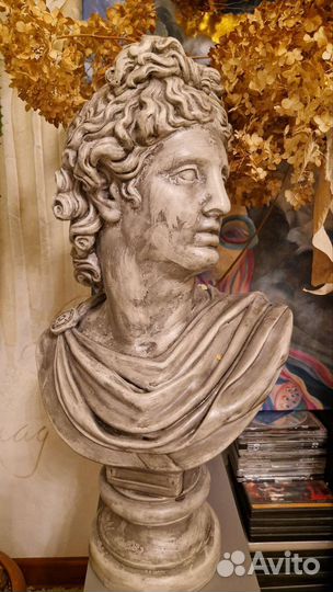 Бюст Аполлона