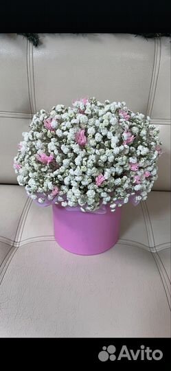 Букеты и композиции из ёлки