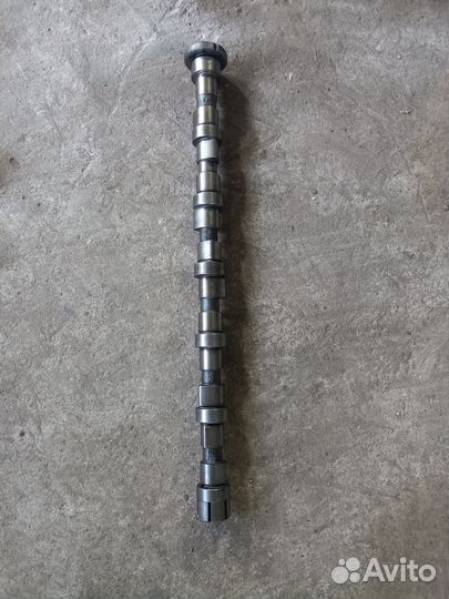 Вал распределительный cummins 6isbe