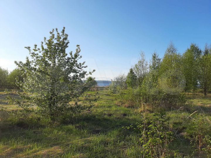 Участок 12 сот. (ИЖС)