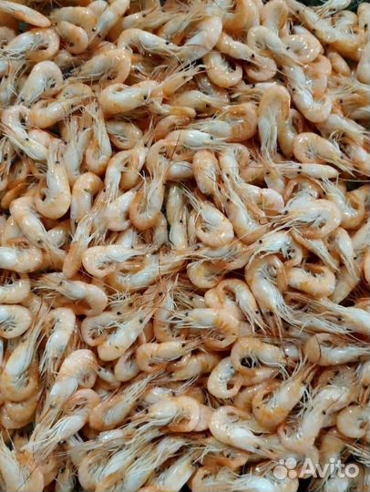 Креветка замороженая, вареная