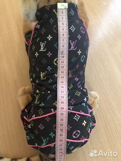 Костюм для собаки