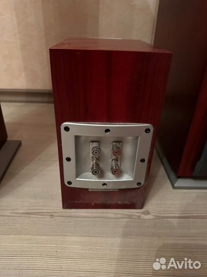 Акустика Audiovector /домашний кинотеатр