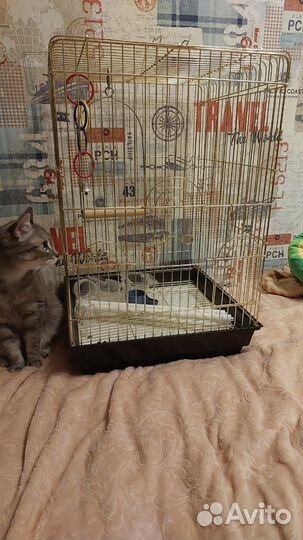 Большая клетка для птиц