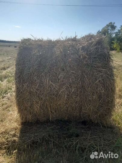 Продаётся солома с сеном пшеничная