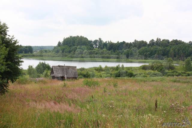 Участок 31 сот. (ИЖС)