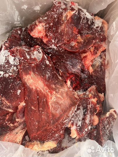 Мясо говядина для собак