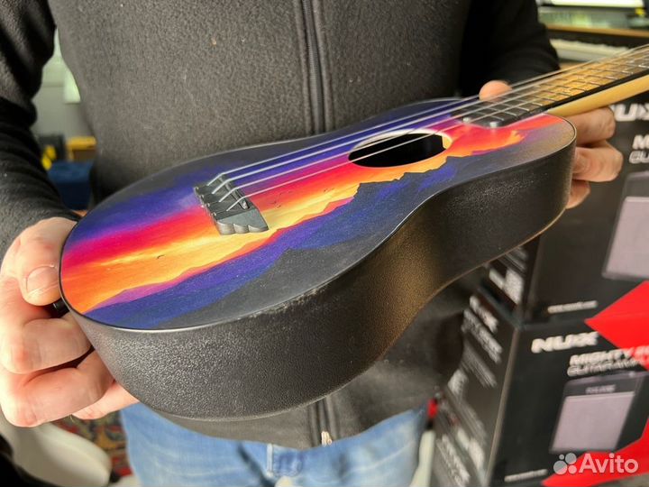 Укулеле flight концерт