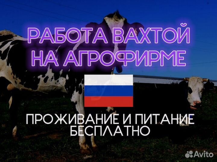 Разнорабочий на агрофирму без опыта