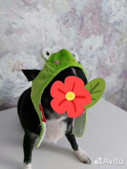 Зимний комбинезон и шапочка