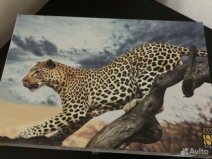Пазл на 2000 деталей