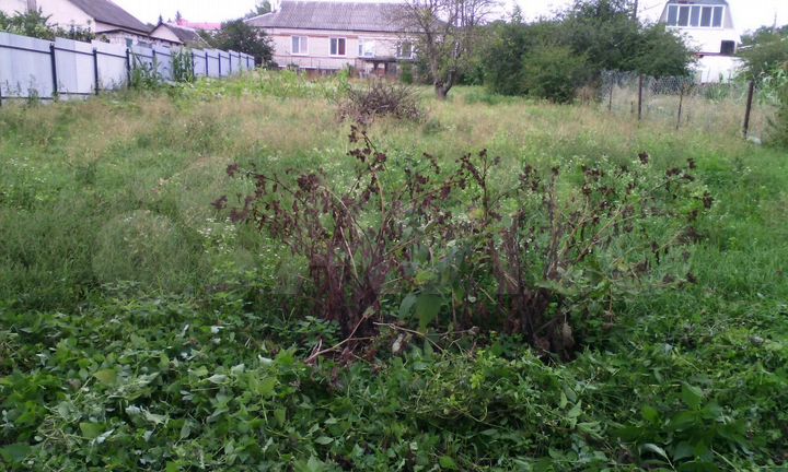 Дом 48 м² на участке 11 сот.