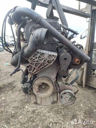 Двигатель Volkswagen Lupo (1998 - 2005) 1.4 AMF