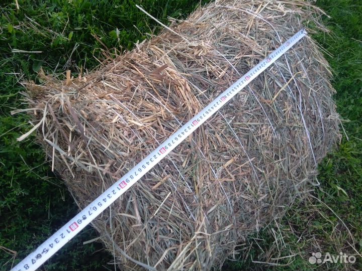 Продам сено в рулонах 25-35 кг длинна70 диаметр60