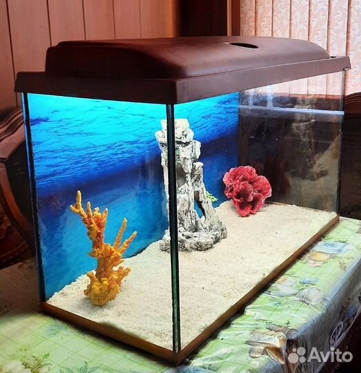 Аквариум с крышкой и освещением