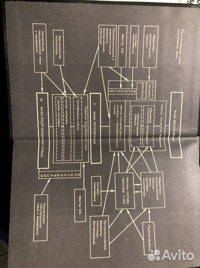 Раны и раневая инфекция. Руководство