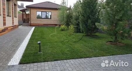 Укладка газона