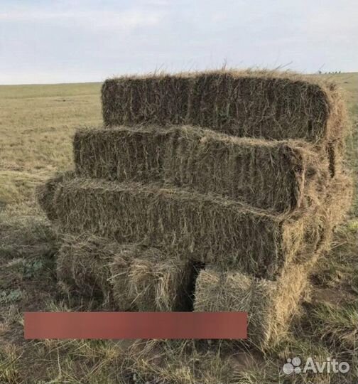 Сено в тюках
