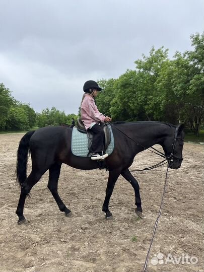 Конные прогулки