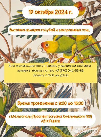 Ярмарка выставка