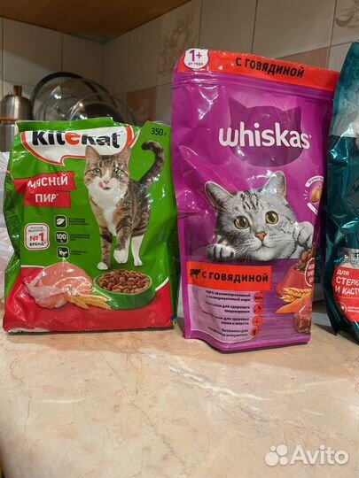 Сухой корм для кошек