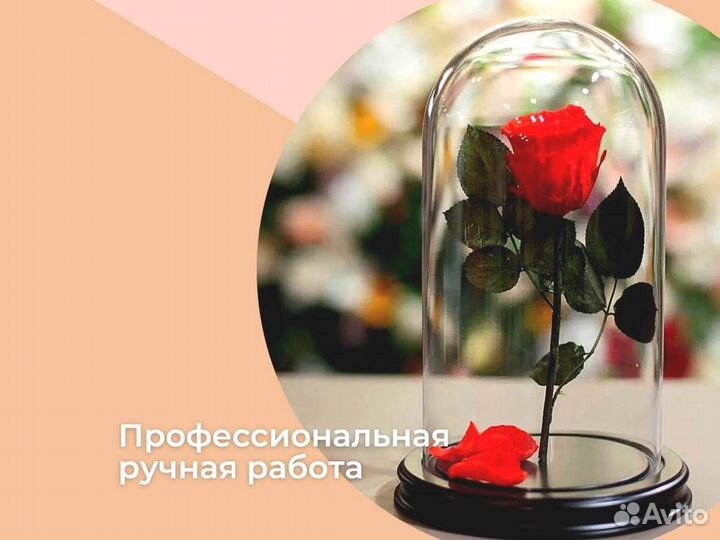 Роза в колбе. Вечная