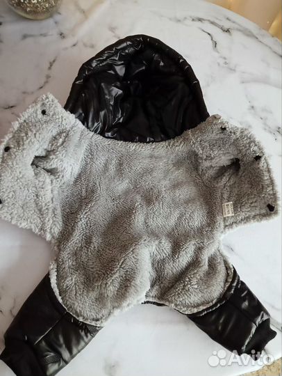 Одежда для собаки