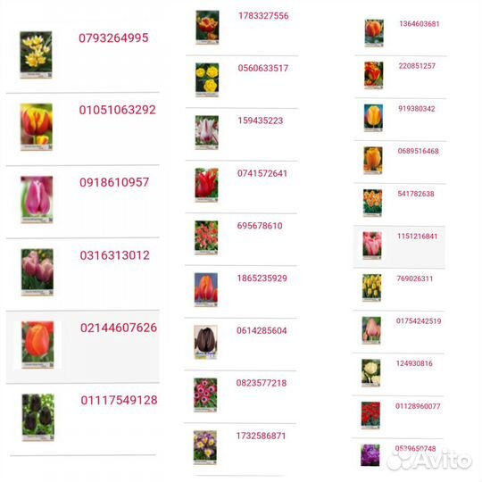 Луковицы тюльпанов, лилий, декоративных луков