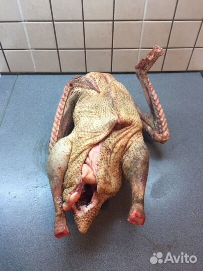 Гусиное мясо