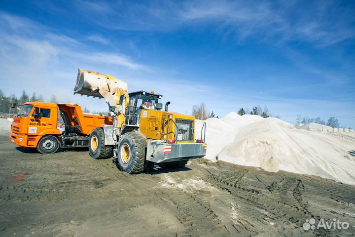 Отсев и прочее в течении часа у дома