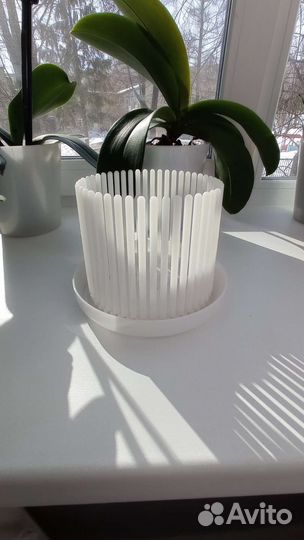 Корона для орхидей