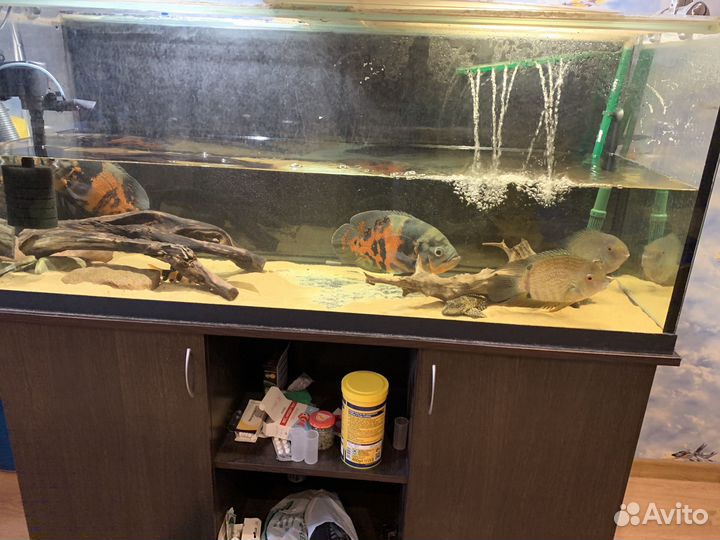 Аквариум 300 л