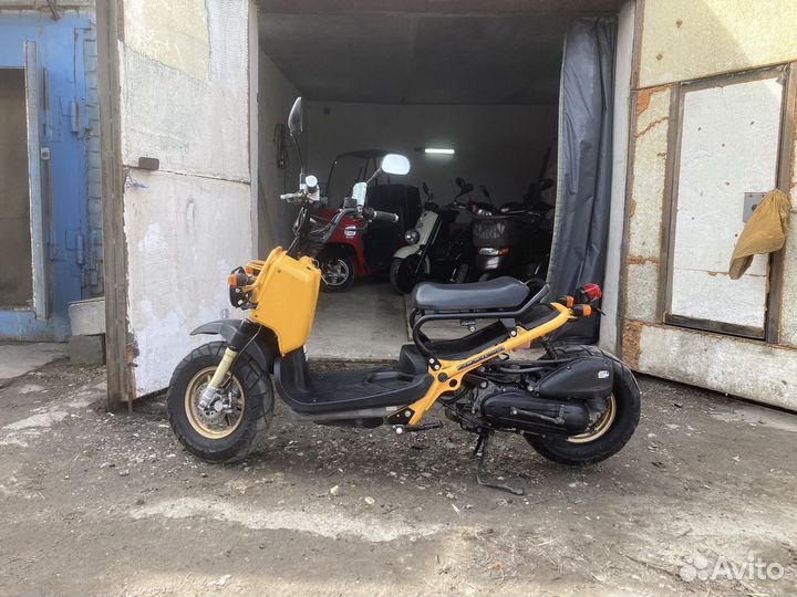 Honda zoomer ruckus