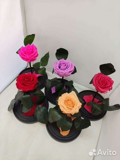 Роза в колбе опт и розница