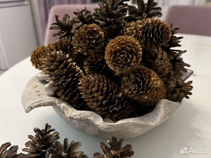 Шишки еловые шишки сосновые