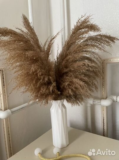 Букет из сухоцветов