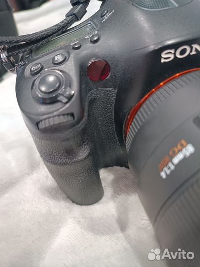 Sony A99 + Sigma 85 1.4