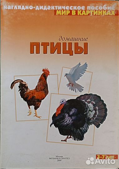 Наглядно-дидактическое пособие 