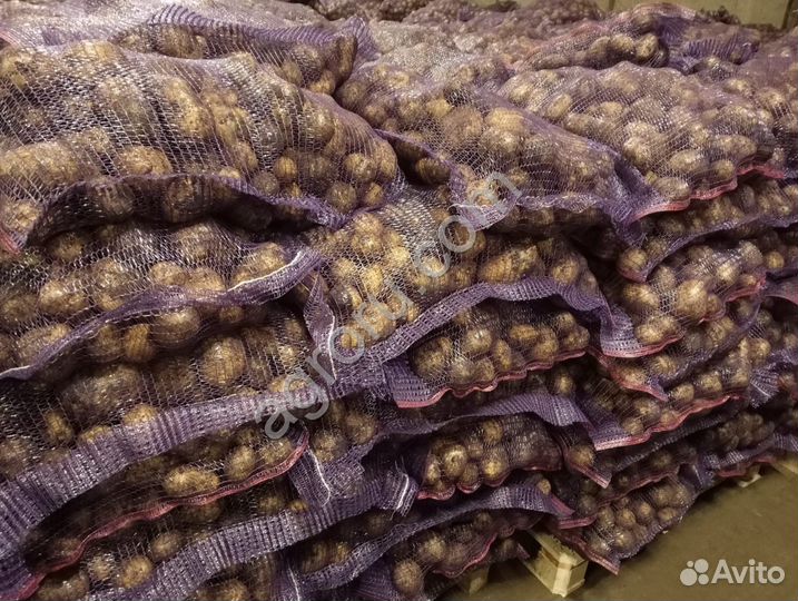 Продукты питания