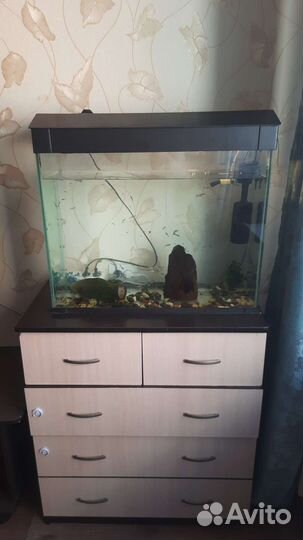 Аквариум
