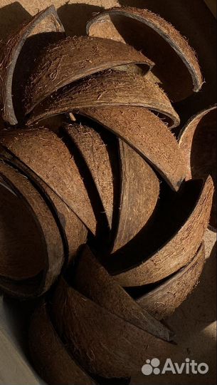 Скорлупа кокоса