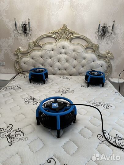 Химчистка мягкой мебели дивана матраса стула