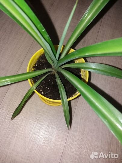 Доска гладильная для глажки б.у Ника Nika гладильн