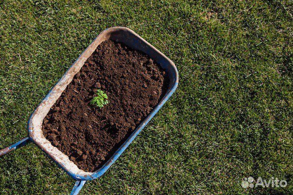 Грунт Плодородный, Чернозем, Перегной, Навоз