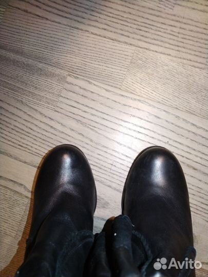 Сапоги basconi 39