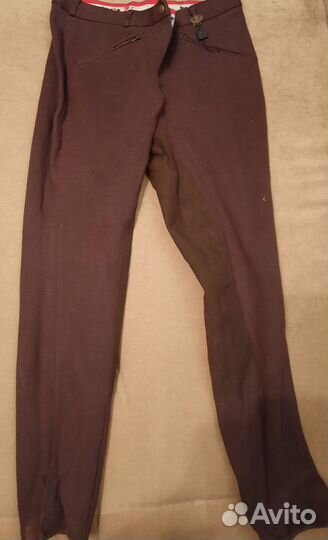 Бриджи для конного спорта