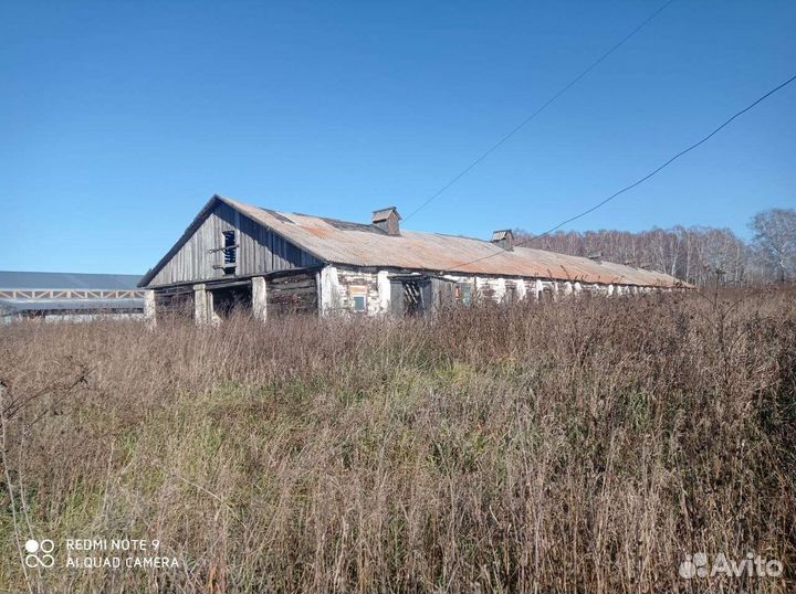 Помещение под содержание с/ х животных